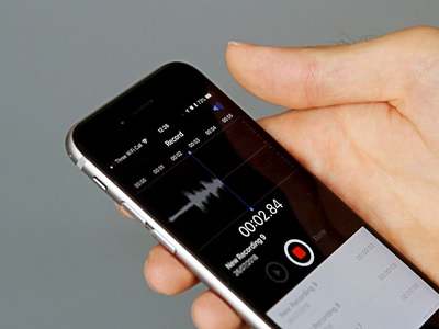 會說話的植物 從錄音制作到創意展示的完整指南